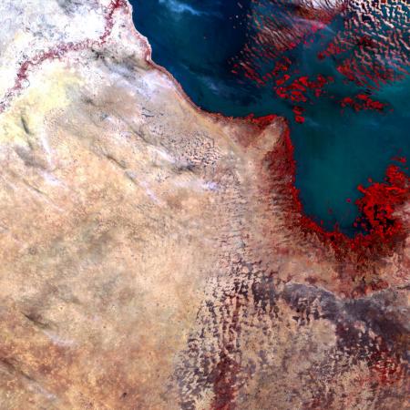 Lake Chad, Africa, 1972, http://landsat.usgs.gov/