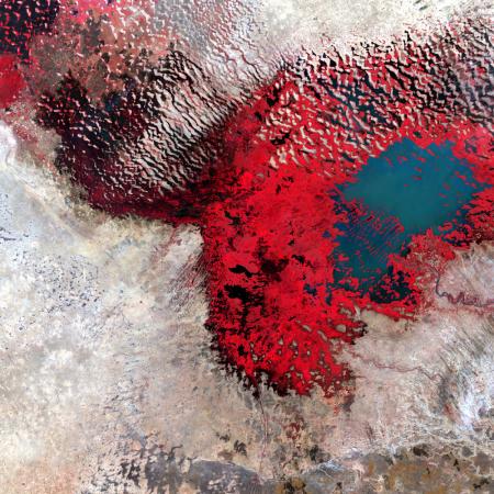 Lake Chad, Africa, 2002, http://landsat.usgs.gov/