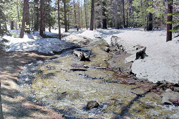 Spring Thaw; www.grahamowen.com/Palm-Springs-Tramway.html