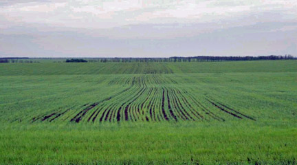 Source is http://Odesa-tachkent.ifrance.com/English/ChroniquesMaiEng.htm